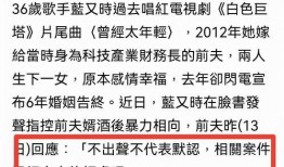 爆料娱乐圈家暴是谁啊百度云,揭秘神秘当事人身份