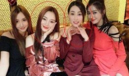 娱乐圈爆料两朵小花,揭秘“两朵小花”的崛起之路